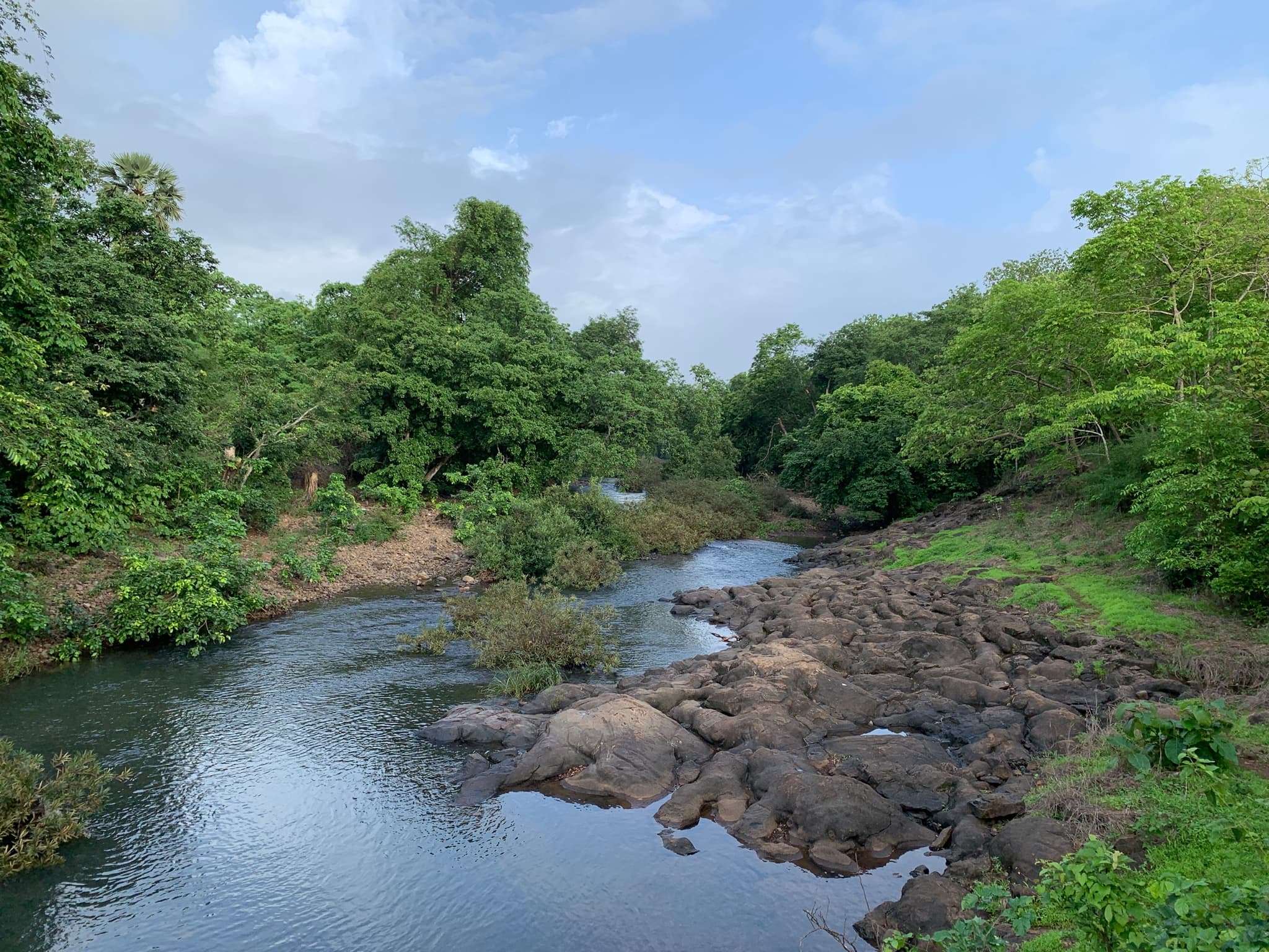 Sanjay Gandhi National Park